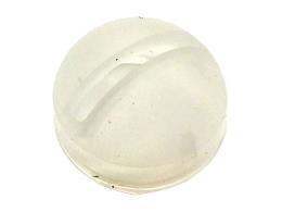 キャップ/　エクスフォリエーター